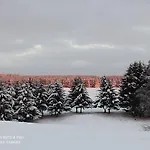 Дом отдыха Behagliches Zaunkoenig -mit Kamin Und Sauna- Blick Ueber Romantische Bodetal Танне