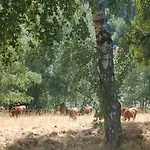 Behagliches Zaunkoenig -mit Kamin Und Sauna- Blick Ueber Romantische Bodetal Танне