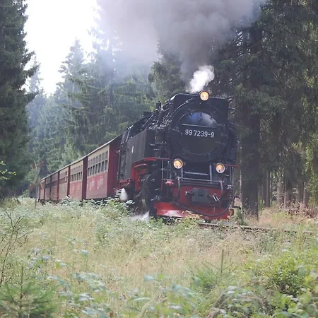 Behagliches Zaunkoenig -mit Kamin Und Sauna- Blick Ueber Romantische Bodetal