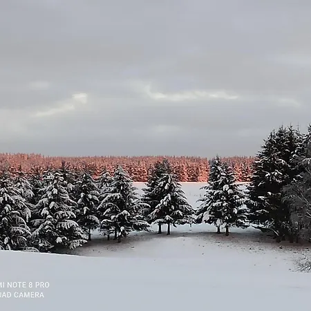 Ferienhaus Behagliches Zaunkönig -mit Kamin Und Sauna- Blick über Romantische Bodetal Tanne
