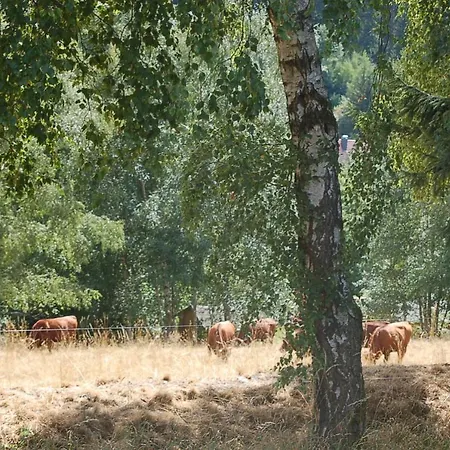 Behagliches Zaunkoenig -mit Kamin Und Sauna- Blick Ueber Romantische Bodetal Tanne