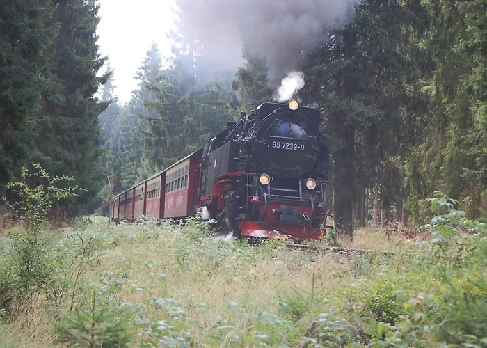 Behagliches Zaunkoenig -mit Kamin Und Sauna- Blick Ueber Romantische Bodetal