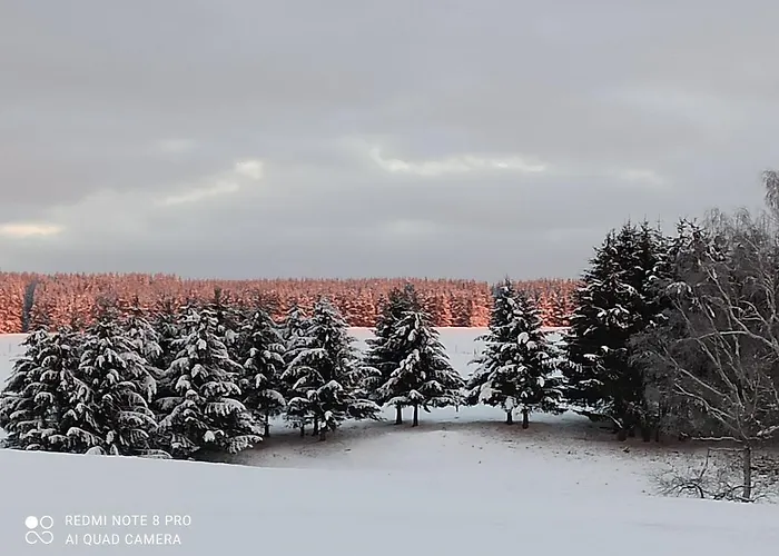 Дом отдыха Behagliches Zaunkoenig -mit Kamin Und Sauna- Blick Ueber Romantische Bodetal Танне