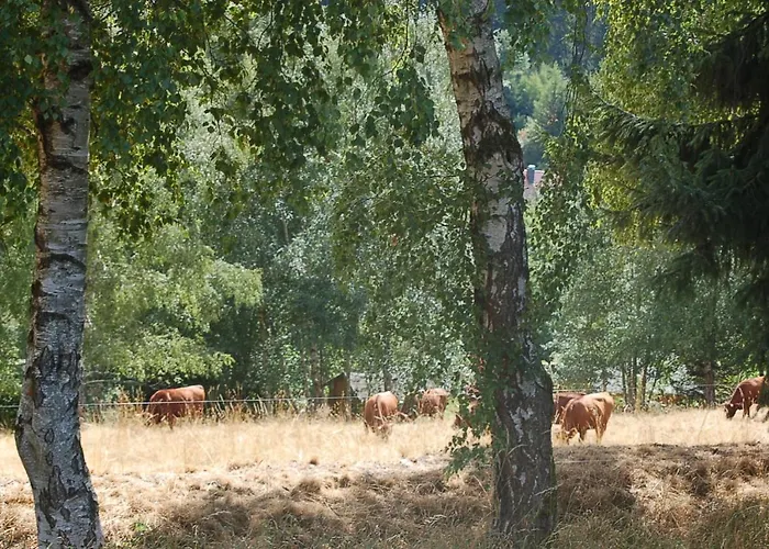 Behagliches Zaunkoenig -mit Kamin Und Sauna- Blick Ueber Romantische Bodetal タンネ