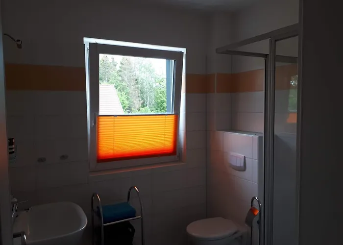 Behagliches Zaunkoenig -mit Kamin Und Sauna- Blick Ueber Romantische Bodetal * タンネ