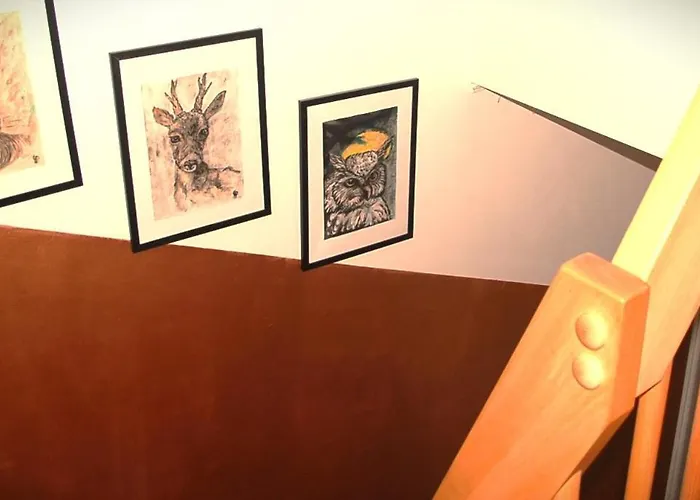 Behagliches Zaunkoenig -mit Kamin Und Sauna- Blick Ueber Romantische Bodetal Dom wakacyjny Tanne